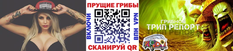 цены наркотик Воронеж Галлюциногенные грибы Cubensis