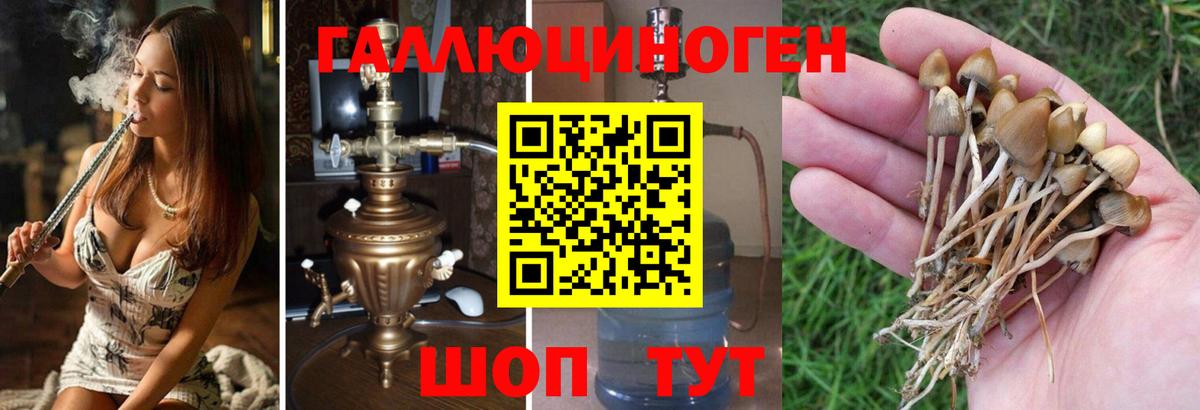 Воронеж  Галлюциногенные грибы мицелий  Вход с VPN 